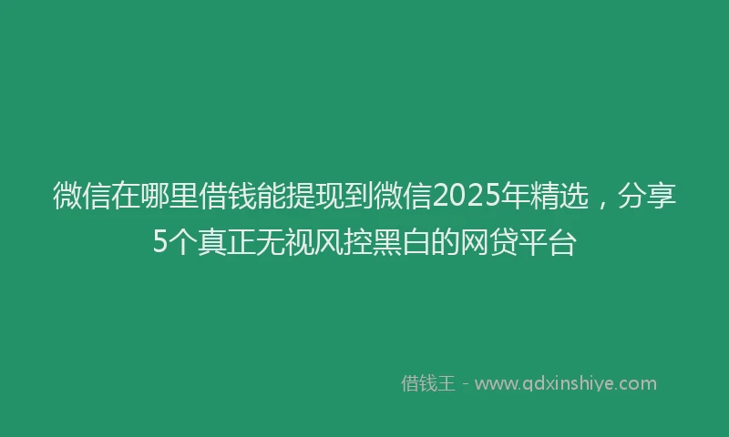 微信在哪里借钱能提现到微信2025年精选，分享5个真正无视风控黑白的网贷平台