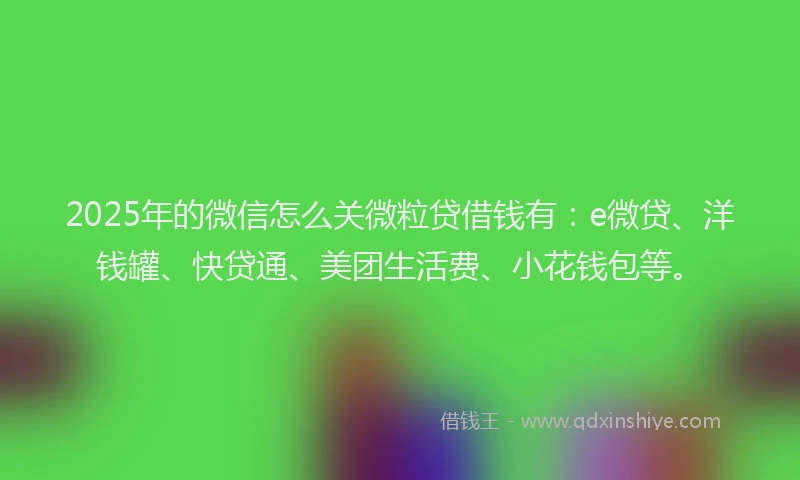2025年的微信怎么关微粒贷借钱有：e微贷、洋钱罐、快贷通、美团生活费、小花钱包等。