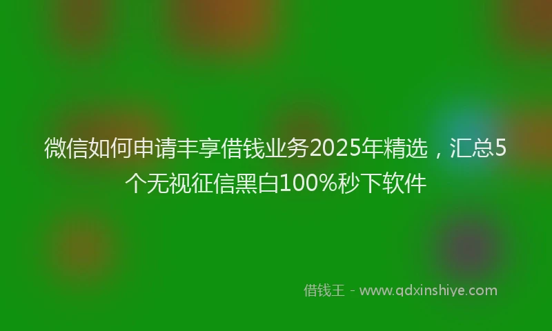 微信如何申请丰享借钱业务2025年精选，汇总5个无视征信黑白100%秒下软件