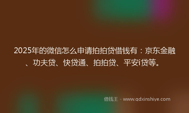 2025年的微信怎么申请拍拍贷借钱有：京东金融、功夫贷、快贷通、拍拍贷、平安i贷等。