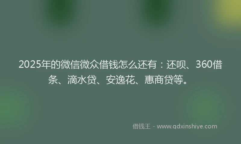 2025年的微信微众借钱怎么还有：还呗、360借条、滴水贷、安逸花、惠商贷等。