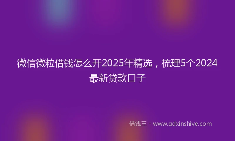 微信微粒借钱怎么开2025年精选，梳理5个2024最新贷款口子
