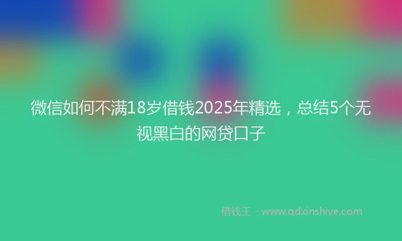 微信如何不满18岁借钱2025年精选，总结5个无视黑白的网贷口子