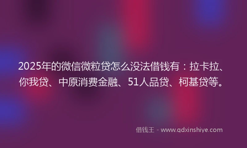 2025年的微信微粒贷怎么没法借钱有：拉卡拉、你我贷、中原消费金融、51人品贷、柯基贷等。