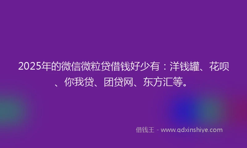 2025年的微信微粒贷借钱好少有：洋钱罐、花呗、你我贷、团贷网、东方汇等。