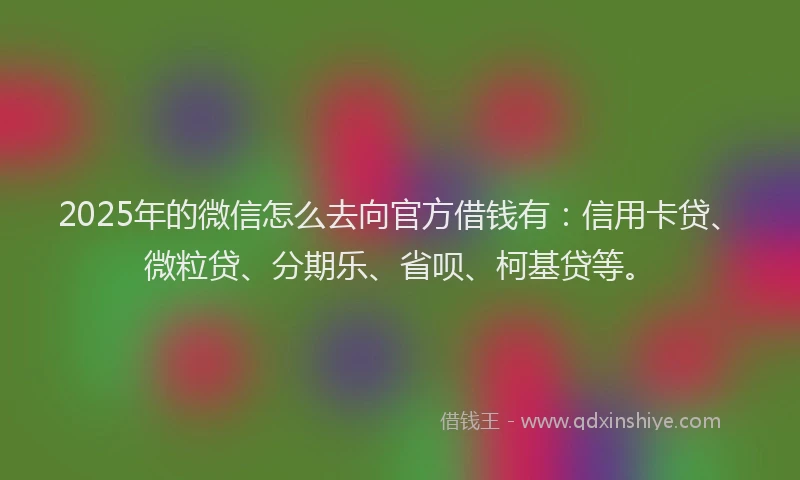 2025年的微信怎么去向官方借钱有：信用卡贷、微粒贷、分期乐、省呗、柯基贷等。