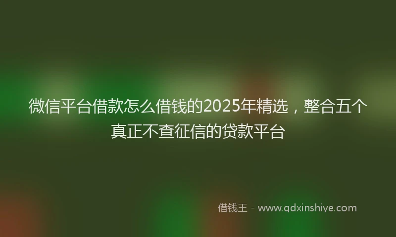 微信平台借款怎么借钱的2025年精选，整合五个真正不查征信的贷款平台