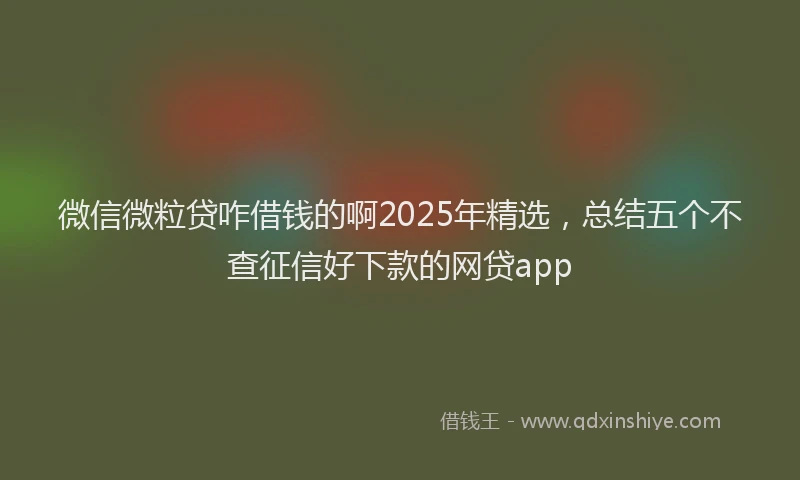 微信微粒贷咋借钱的啊2025年精选，总结五个不查征信好下款的网贷app