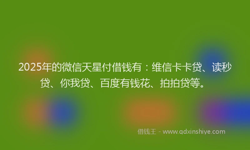 2025年的微信天星付借钱有：维信卡卡贷、读秒贷、你我贷、百度有钱花、拍拍贷等。