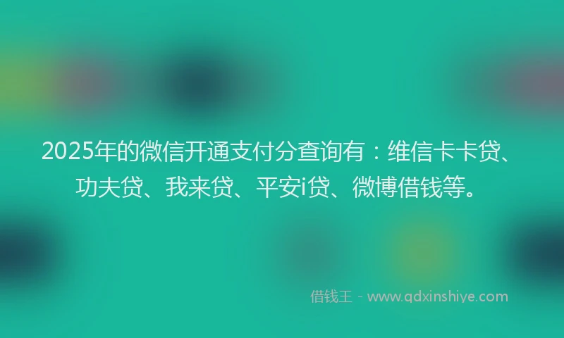 2025年的微信开通支付分查询有：维信卡卡贷、功夫贷、我来贷、平安i贷、微博借钱等。