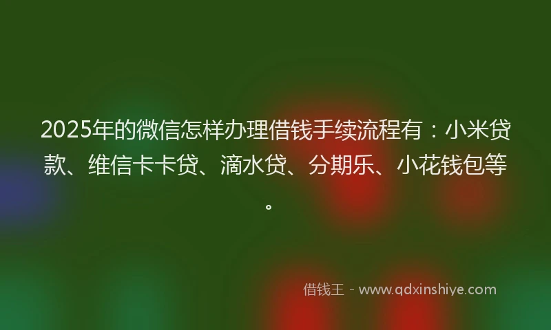 2025年的微信怎样办理借钱手续流程有：小米贷款、维信卡卡贷、滴水贷、分期乐、小花钱包等。