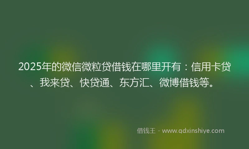 2025年的微信微粒贷借钱在哪里开有：信用卡贷、我来贷、快贷通、东方汇、微博借钱等。