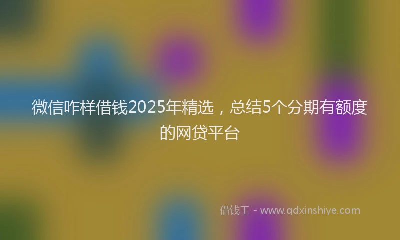 微信咋样借钱2025年精选，总结5个分期有额度的网贷平台
