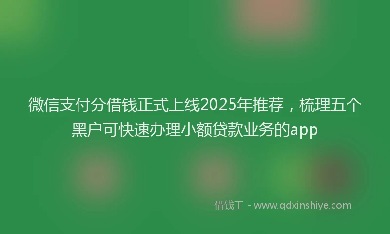 微信支付分借钱正式上线2025年推荐，梳理五个黑户可快速办理小额贷款业务的app
