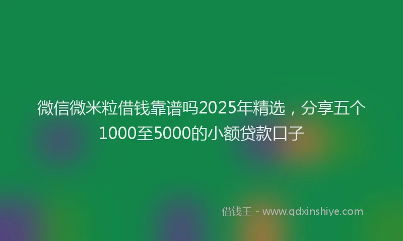 微信微米粒借钱靠谱吗2025年精选，分享五个1000至5000的小额贷款口子