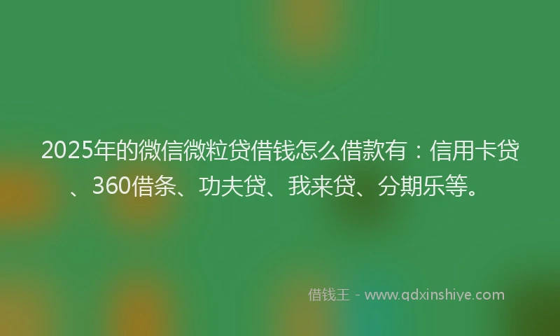 2025年的微信微粒贷借钱怎么借款有：信用卡贷、360借条、功夫贷、我来贷、分期乐等。