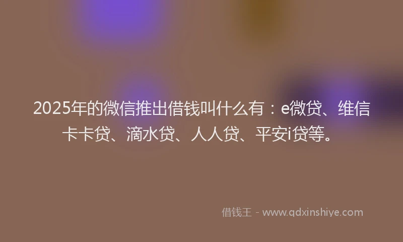 2025年的微信推出借钱叫什么有：e微贷、维信卡卡贷、滴水贷、人人贷、平安i贷等。