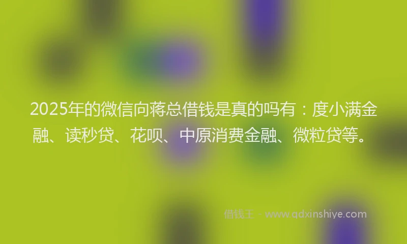 2025年的微信向蒋总借钱是真的吗有：度小满金融、读秒贷、花呗、中原消费金融、微粒贷等。