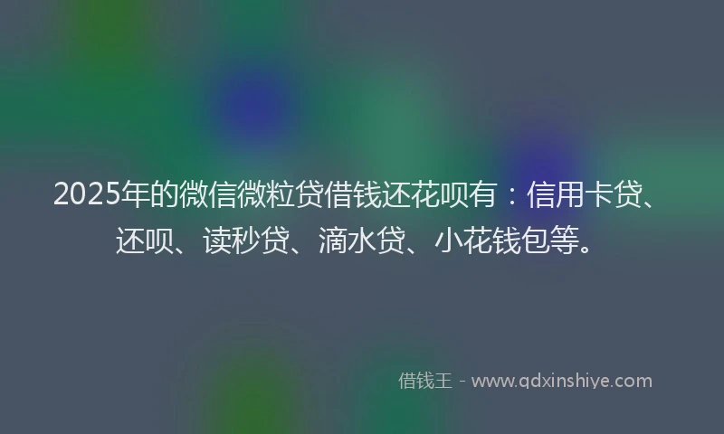 2025年的微信微粒贷借钱还花呗有：信用卡贷、还呗、读秒贷、滴水贷、小花钱包等。