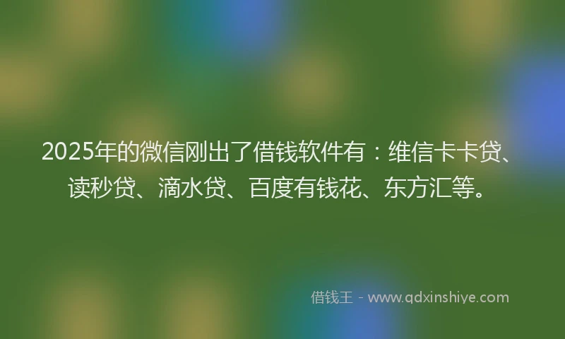 2025年的微信刚出了借钱软件有：维信卡卡贷、读秒贷、滴水贷、百度有钱花、东方汇等。