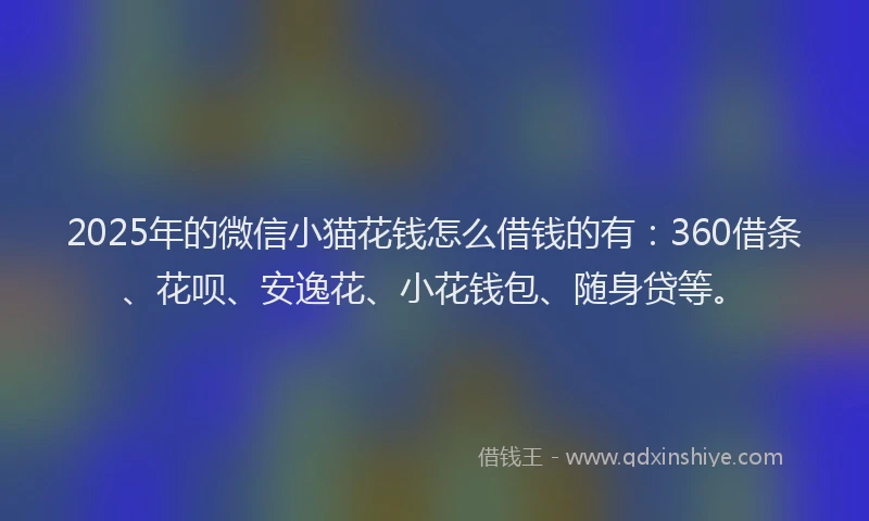 2025年的微信小猫花钱怎么借钱的有：360借条、花呗、安逸花、小花钱包、随身贷等。
