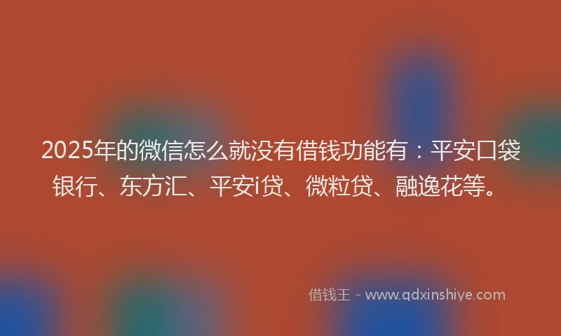 2025年的微信怎么就没有借钱功能有：平安口袋银行、东方汇、平安i贷、微粒贷、融逸花等。