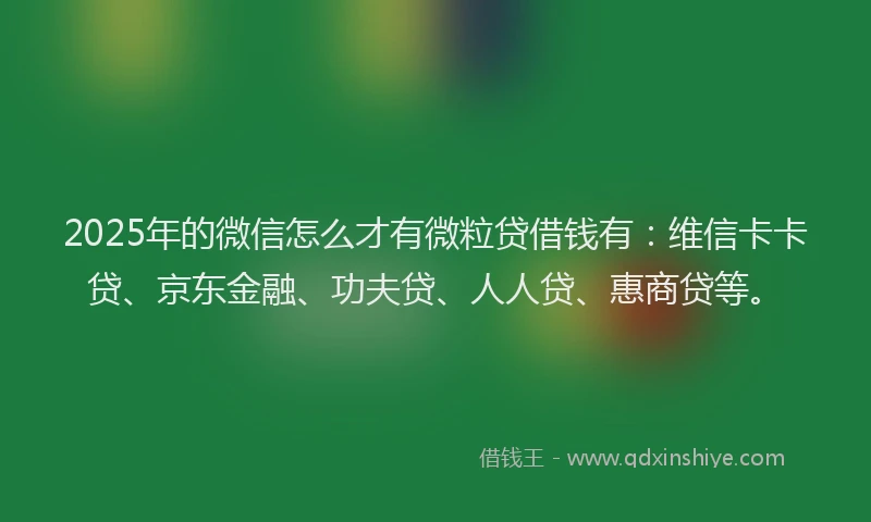 2025年的微信怎么才有微粒贷借钱有：维信卡卡贷、京东金融、功夫贷、人人贷、惠商贷等。