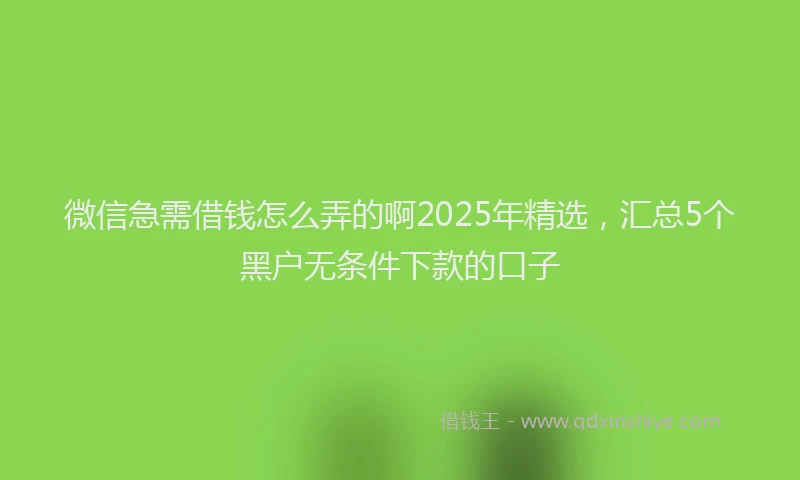 微信急需借钱怎么弄的啊2025年精选，汇总5个黑户无条件下款的口子