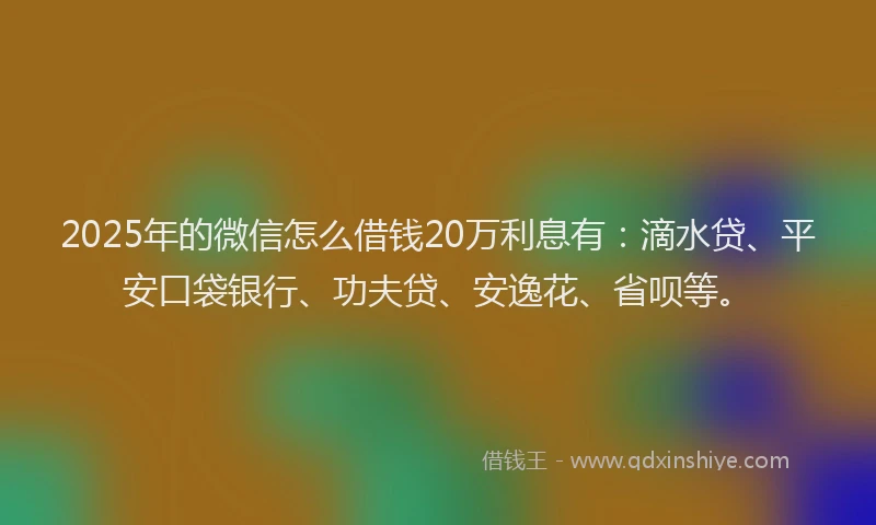 2025年的微信怎么借钱20万利息有：滴水贷、平安口袋银行、功夫贷、安逸花、省呗等。