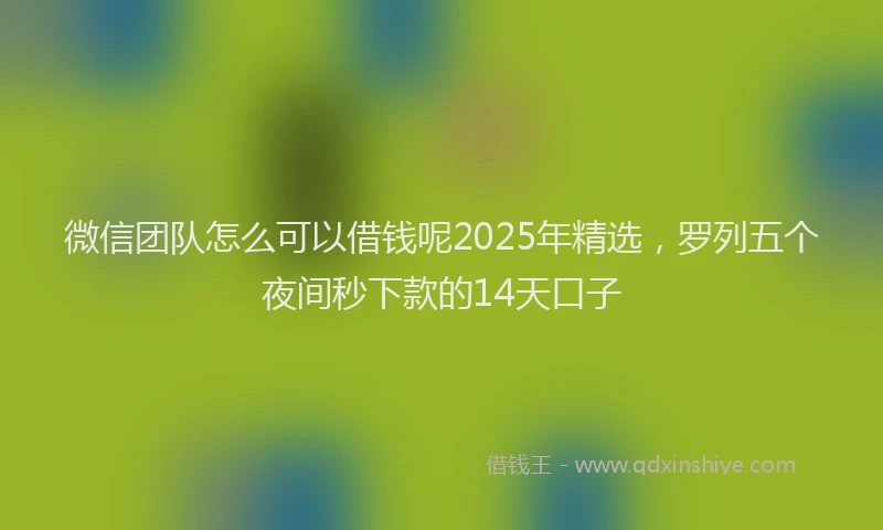微信团队怎么可以借钱呢2025年精选，罗列五个夜间秒下款的14天口子