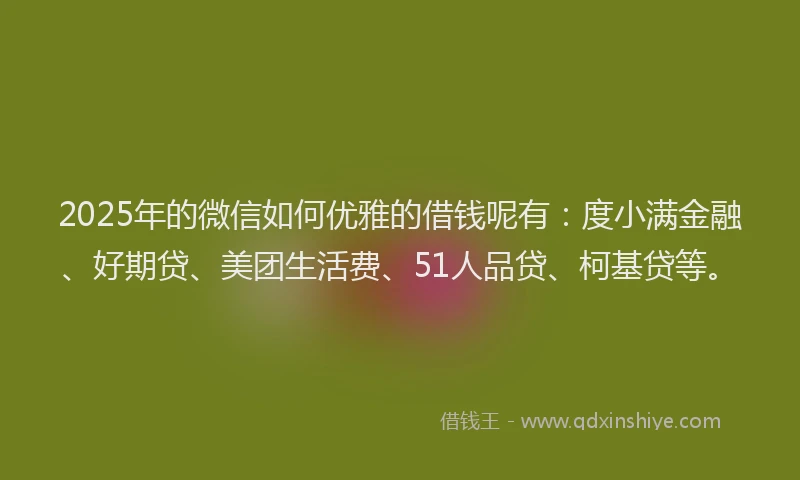 2025年的微信如何优雅的借钱呢有：度小满金融、好期贷、美团生活费、51人品贷、柯基贷等。