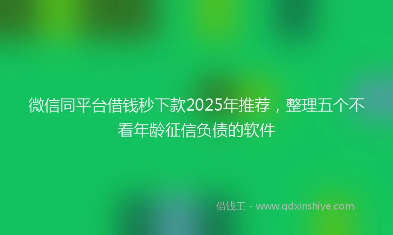 微信同平台借钱秒下款2025年推荐，整理五个不看年龄征信负债的软件