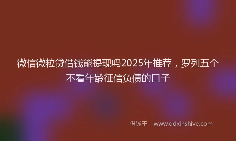 微信微粒贷借钱能提现吗2025年推荐，罗列五个不看年龄征信负债的口子