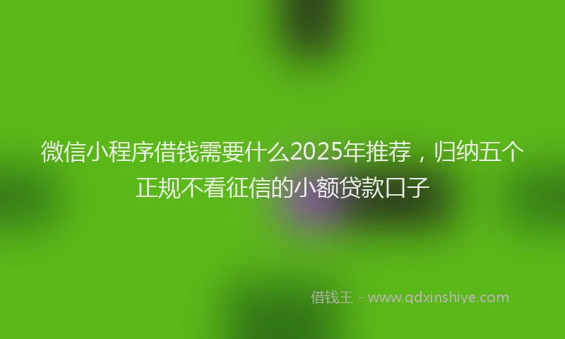 微信小程序借钱需要什么2025年推荐，归纳五个正规不看征信的小额贷款口子