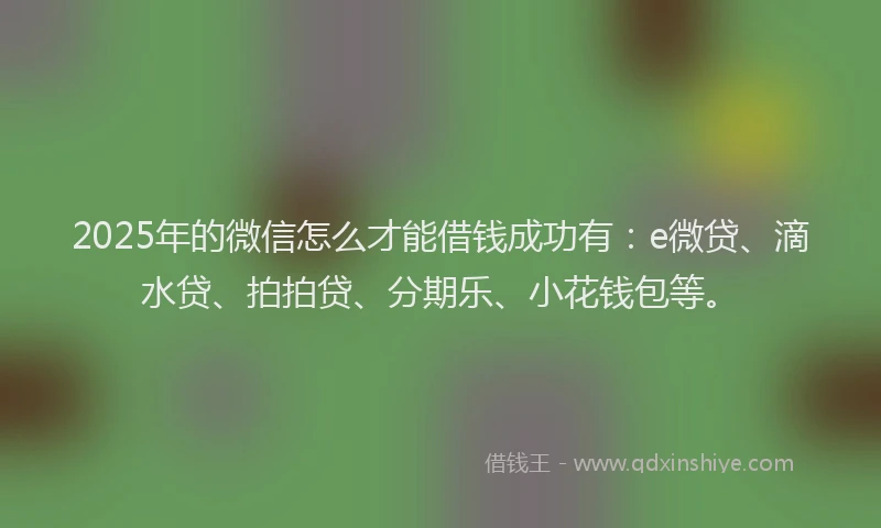 2025年的微信怎么才能借钱成功有：e微贷、滴水贷、拍拍贷、分期乐、小花钱包等。