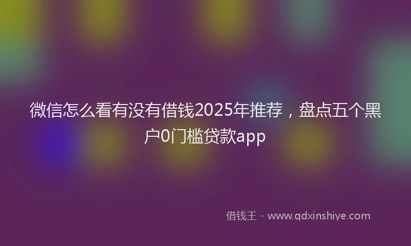 微信怎么看有没有借钱2025年推荐，盘点五个黑户0门槛贷款app