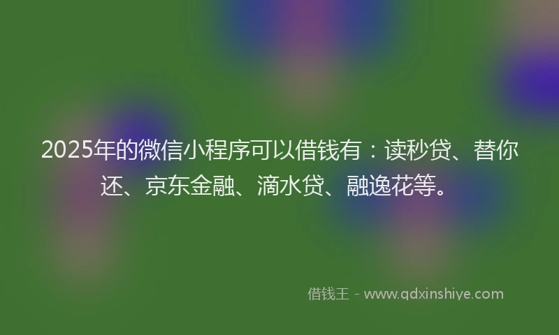 2025年的微信小程序可以借钱有：读秒贷、替你还、京东金融、滴水贷、融逸花等。