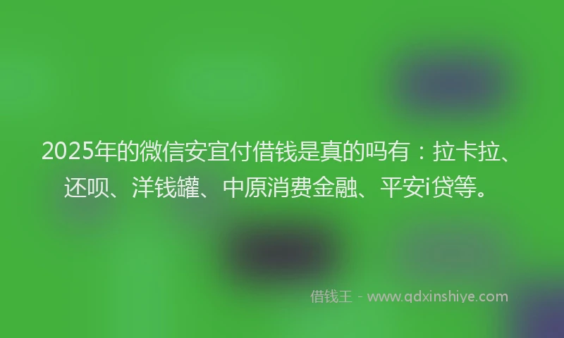 2025年的微信安宜付借钱是真的吗有：拉卡拉、还呗、洋钱罐、中原消费金融、平安i贷等。