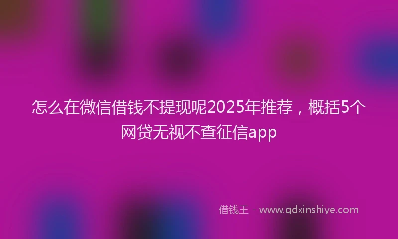 怎么在微信借钱不提现呢2025年推荐，概括5个网贷无视不查征信app