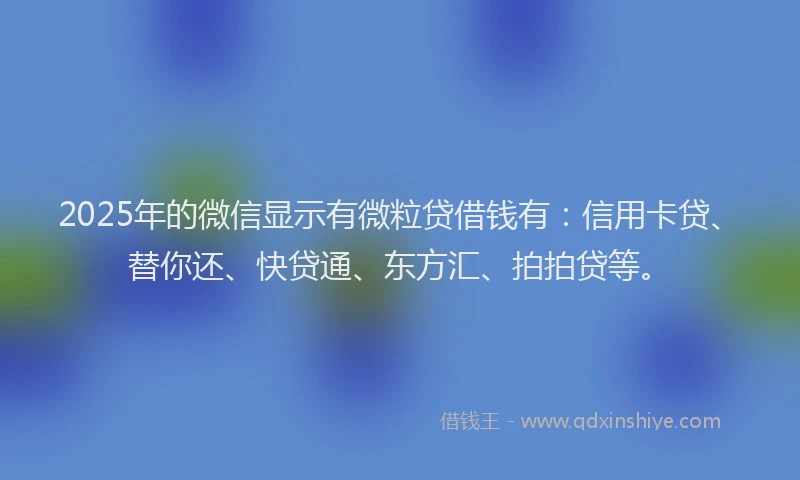 2025年的微信显示有微粒贷借钱有：信用卡贷、替你还、快贷通、东方汇、拍拍贷等。