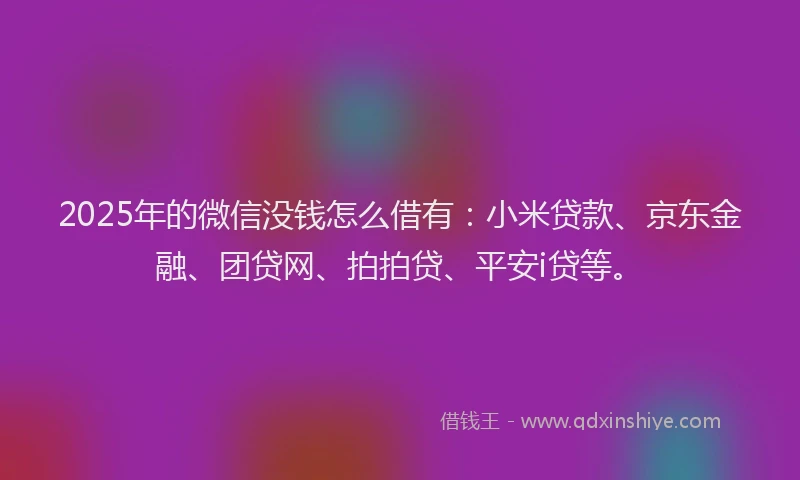 2025年的微信没钱怎么借有：小米贷款、京东金融、团贷网、拍拍贷、平安i贷等。