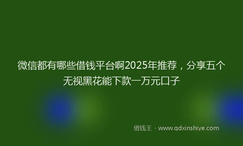 微信都有哪些借钱平台啊2025年推荐，分享五个无视黑花能下款一万元口子