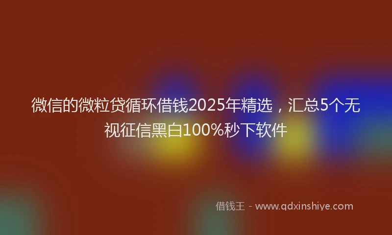 微信的微粒贷循环借钱2025年精选，汇总5个无视征信黑白100%秒下软件