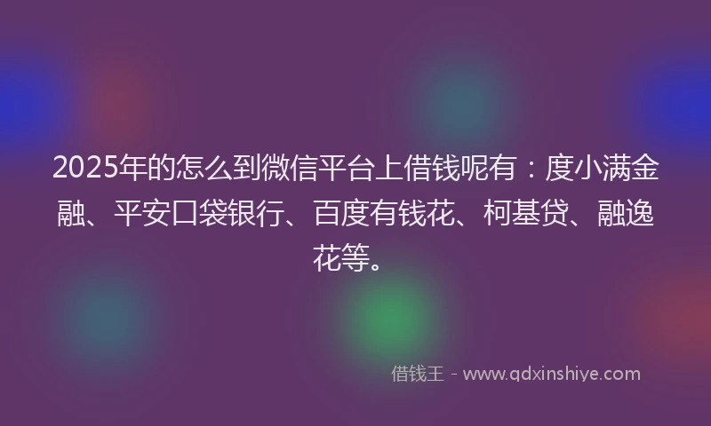 2025年的怎么到微信平台上借钱呢有：度小满金融、平安口袋银行、百度有钱花、柯基贷、融逸花等。