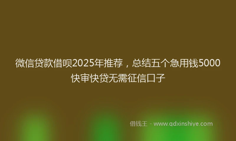 微信贷款借呗2025年推荐，总结五个急用钱5000快审快贷无需征信口子