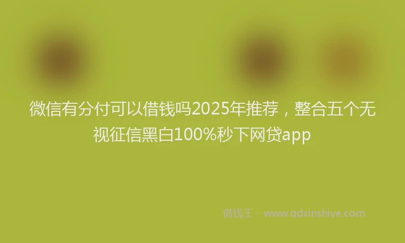 微信有分付可以借钱吗2025年推荐，整合五个无视征信黑白100%秒下网贷app