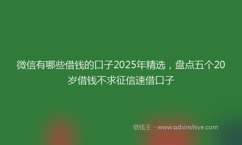微信有哪些借钱的口子2025年精选，盘点五个20岁借钱不求征信速借口子