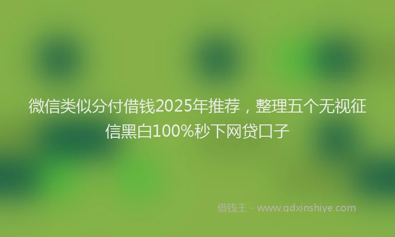 微信类似分付借钱2025年推荐，整理五个无视征信黑白100%秒下网贷口子