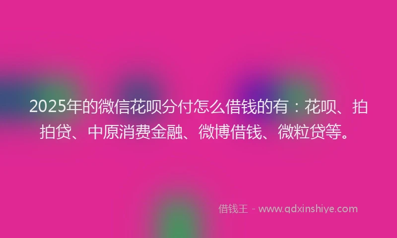 2025年的微信花呗分付怎么借钱的有：花呗、拍拍贷、中原消费金融、微博借钱、微粒贷等。