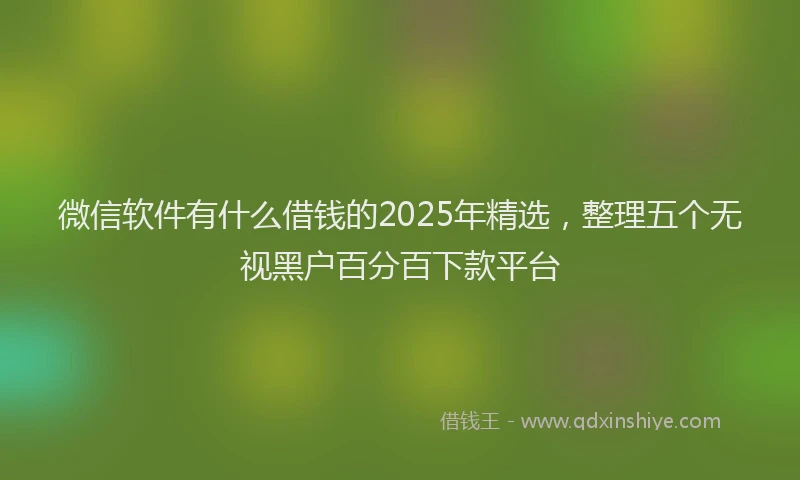 微信软件有什么借钱的2025年精选，整理五个无视黑户百分百下款平台